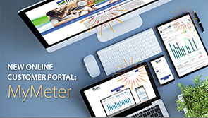 BPU Launches New Online Customer Portal