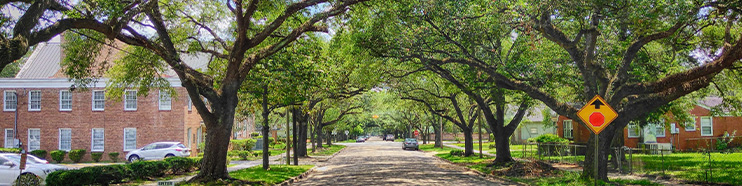 Scheduled Tree Maintenance